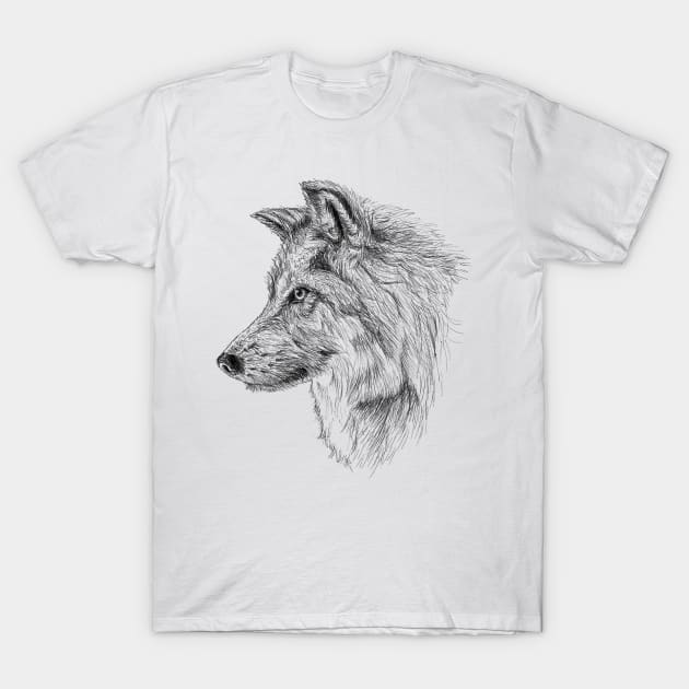 Wolf scientific nature black ink pen drawing illustration, From my scientific nature illustration series of black ink pen drawings. T-Shirt by DamiansART